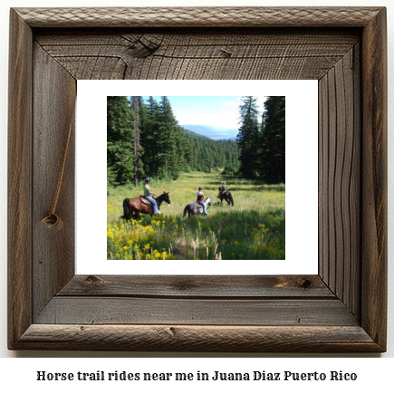 horse trail rides near me in Juana Daz, Puerto Rico